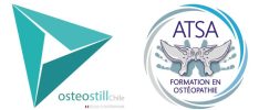 osteostill-atsa-formacion-osteopatia